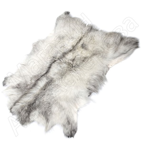 Натуральная козья шкура (цвет - бело-серый, короткий ворс, ручная выделка)