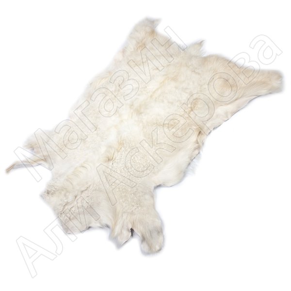 Натуральная козья шкура (цвет - белый, короткий ворс, ручная выделка)